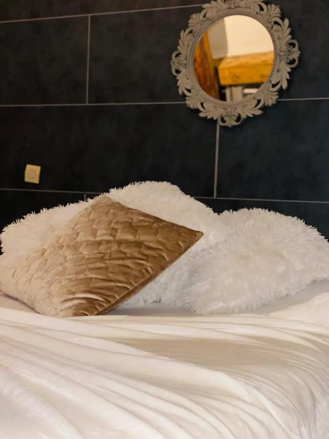 Theatre Hotel Chambery 2*,
